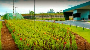 Lote a venda no Condomínio Cidades das Flores em Caldas Novas